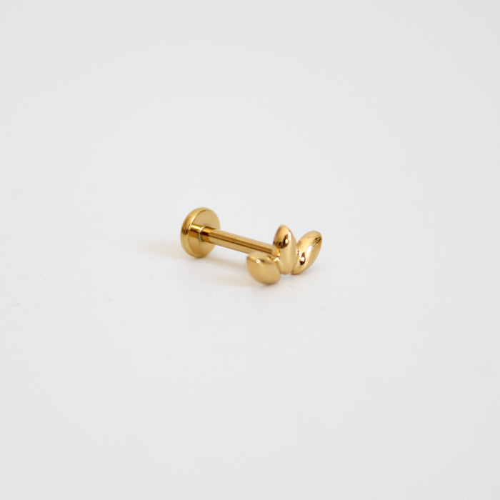 Piercing Sydney